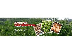 小青柑厂家：陈皮普洱茶有保质期吗？能保存多久？