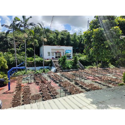 柑鲜味柑场