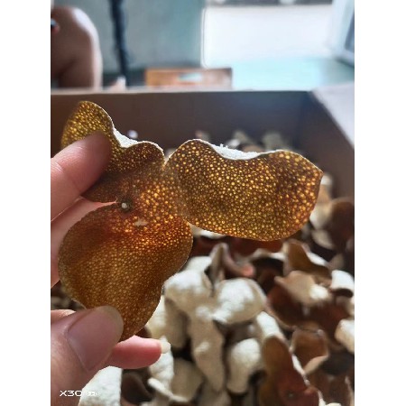 柑鲜味陈皮